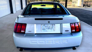 Mustang Cobra Found