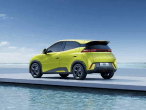 China’s EV Revolution
