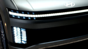 EV Sales Decline