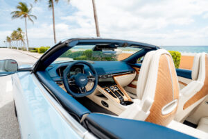 Aston’s Beach Dream