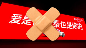 BYD Fights Back